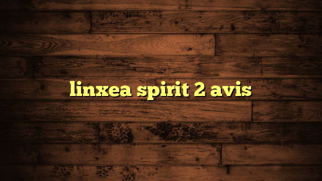 linxea spirit 2 avis